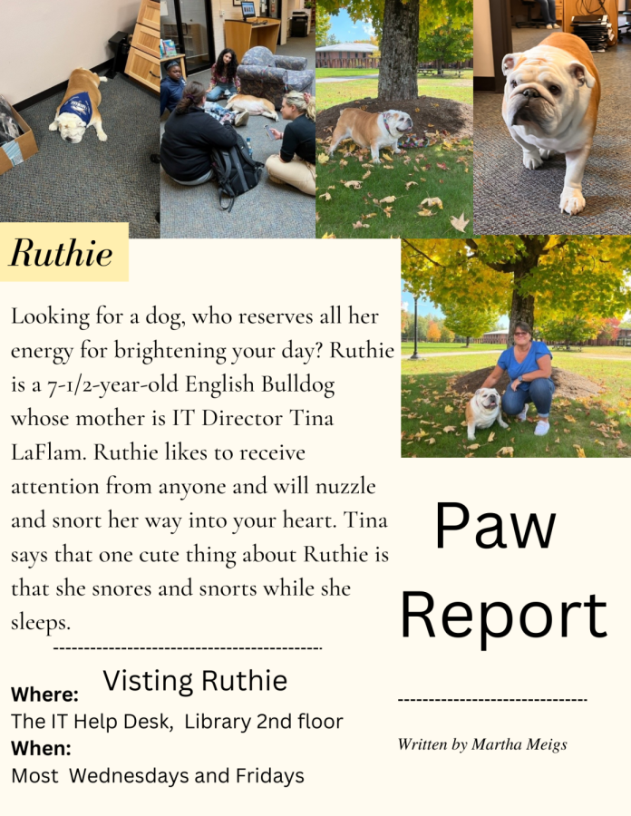 Paw Report
