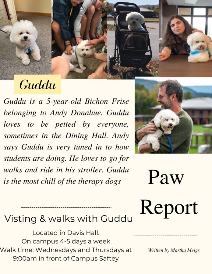 Paw Report: Guddu