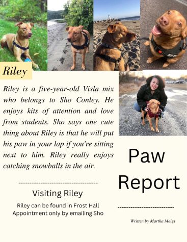 Paw Report: Riley