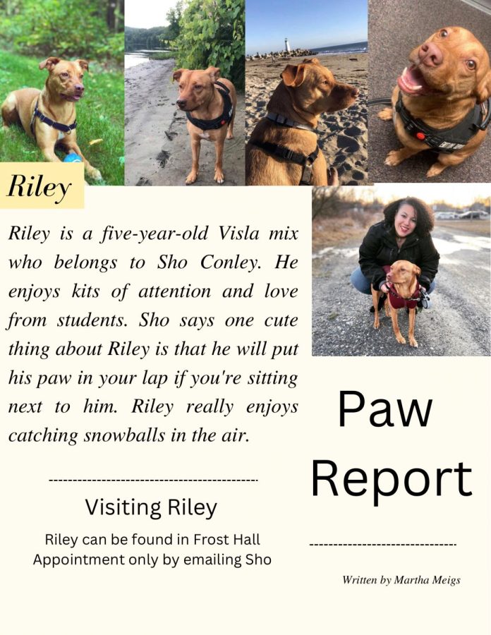 Paw+Report%3A+Riley