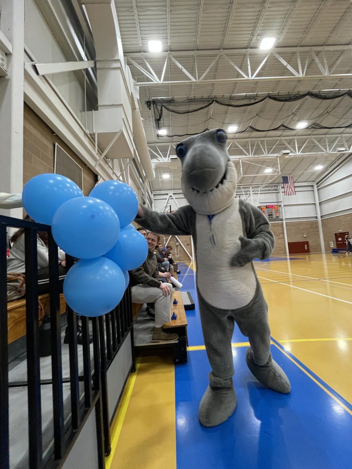The Adventures of Finn D. Shark: Shark Day Festivities – VOICES