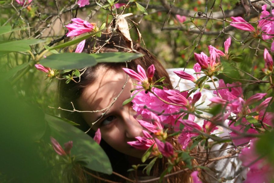 Image of a persons face behind some flowers