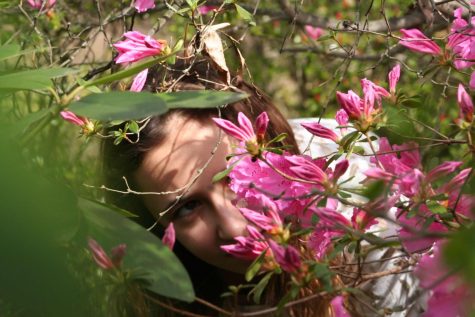 Image on persons face behind some flowers