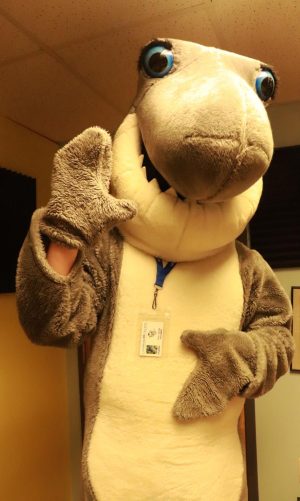 The Adventures of Finn D. Shark: Finns Final Farewell (SERIES FINALE)
