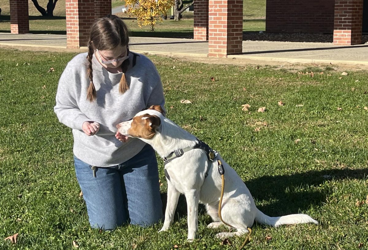 Paw Report: Oliver