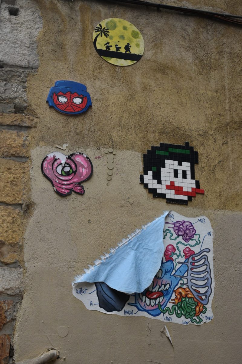 Landmark College Student Mariam Chakir shares some photos of street art in France, detailing various artistic and creative elements on the streets in the country. Including wall art of various animals, pop culture icons, and other graffiti art on full display.